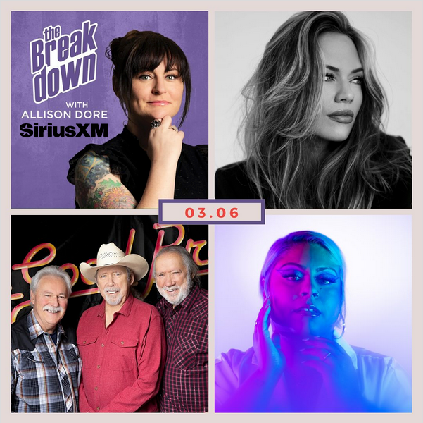 This is cover art for The Break Down podcast with Allison Dore and The Good Brothers.